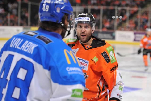 SHALL WE DANCE? Sheffield Steelers' Guillaume Desbiens takes on Coventry Blaze's Boris Valabik during the recent clash between the two sides at Sheffield Arena which the hosts won 6-3. Picture: Dean Woolley.