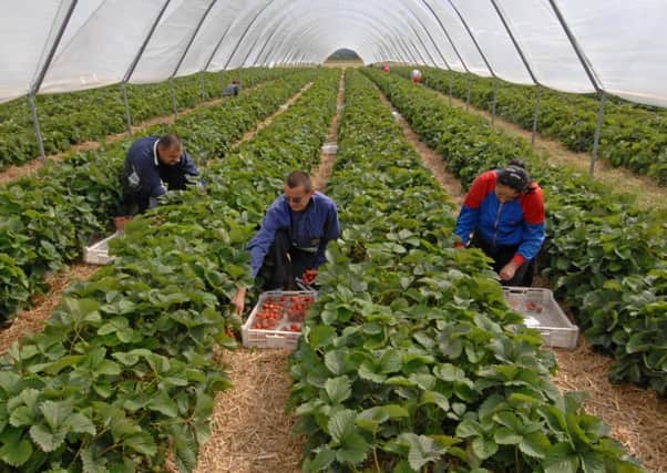 One in three growers experienced difficulties in recruiting seasonal workers last year.