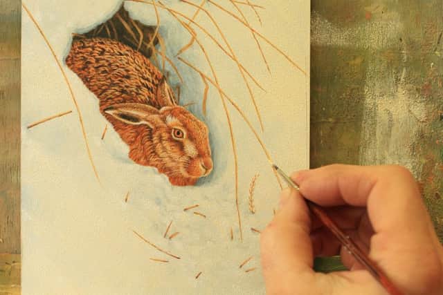 Robert Fuller's drawing of a hare in a snow hole.