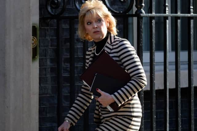 Small Business, Industry and Enterprise minister Anna Soubry