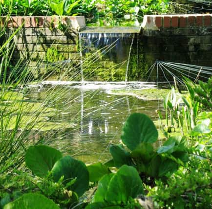WATER WORLD: A pond should be an integral part of the garden.