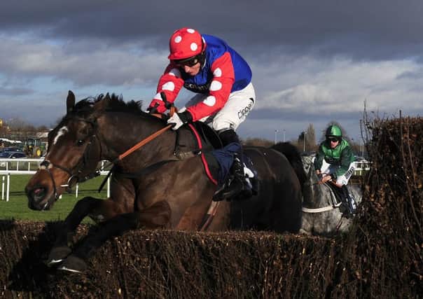 Rocky Creek jumps the final fence on his way to a victory at Doncaster (Picture: John Giles/PA).