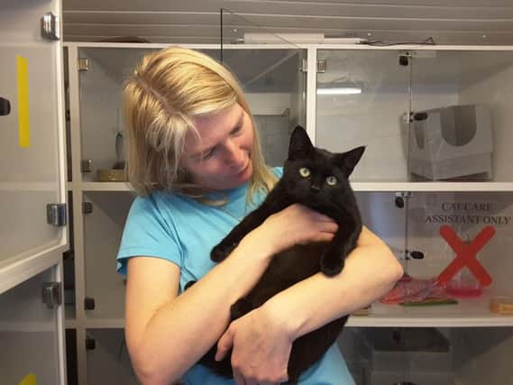 Merlin with Yorkshire Cat Rescue volunteer Ellie