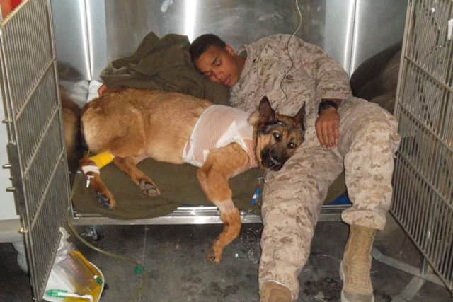 Retired US Marine Corps dog Lucca has been honoured with the PDSA Dickin Medal - the animal equivalent of the Victoria Cross