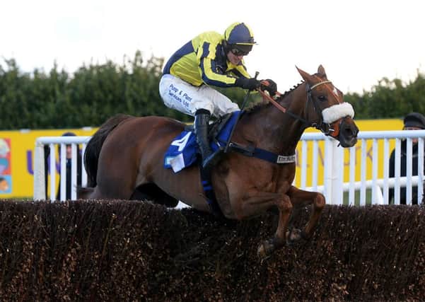 Grand National, one to watch - The Last Samuri