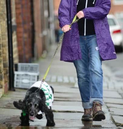 Keep Your Pet is a service in York that helps older people look after their pets. Jake the cocker spaniel with volunteer Diane Roberts. Picture Scott Merrylees