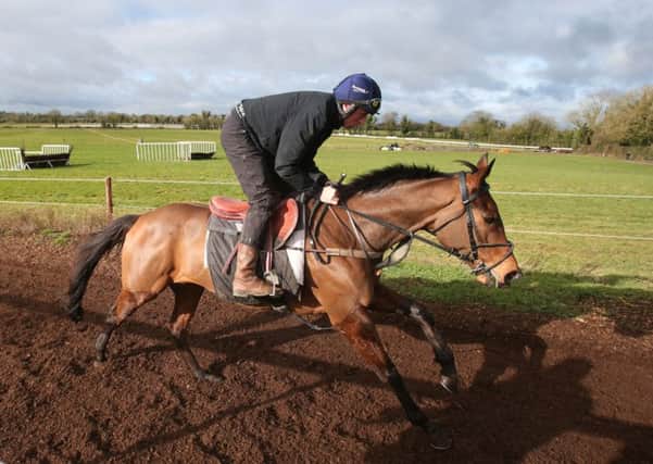 Cause Of Causes on the gallops during a visit to Gordon Elliott's stables at Cullentra House, Longwood. Picture: Brian Lawless/PA.