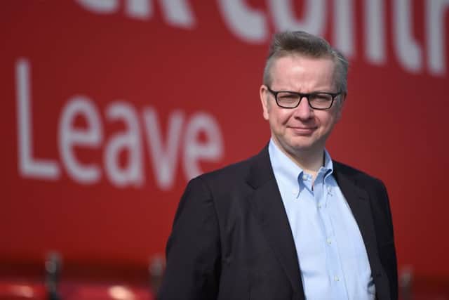 Justice Secretary, Michael Gove and chairman of the Vote Leave campaign. Andrew Matthews/PA Wire