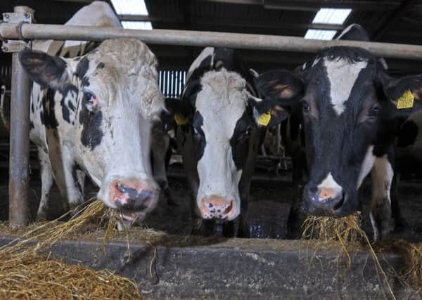 Farms have faced significant hardship as a result of payments delays and low farmgate prices, according to the report published today by the Environment, Food and Rural Affairs Select Committee.