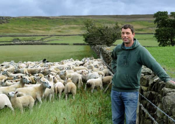 Richard Findlay declared the rule change as a "massive result" for hard-pressed livestock farmers.  Pic: Gary Longbottom