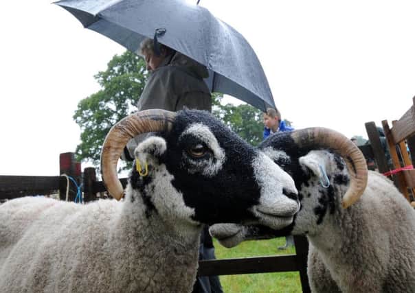 The rain hit attendances at Ryedale Show last year but organisers hope thousands will turn out to celebrate the shows 150th.  Pic: Simon Hulme