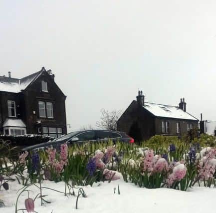 Winter returns to  the Yorkshire Dales as the May Bank Holiday gets off to a cold start.