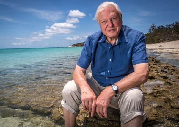 Undated Handout Photo of Great Barrier Reef with David Attenborough.