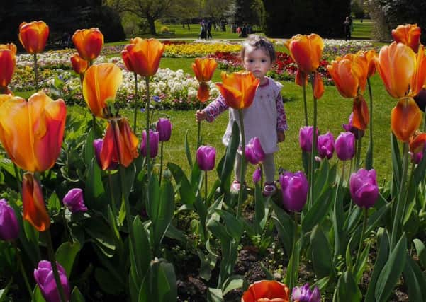 5 May 2016.....Families enjoy the warm and sunny weather at the Botanical Gardens in Sheffield as temperatures look to continue to rise over the weekend. Picture Scott Merrylees