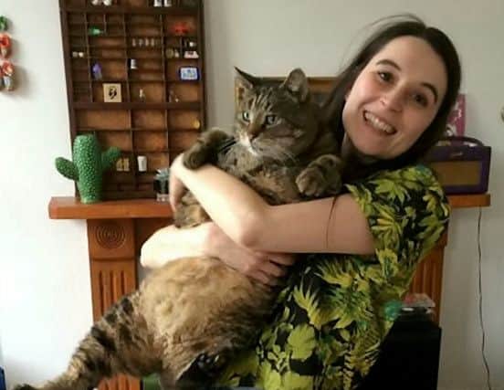 Oliver the fat cat before he was put on a diet.  Oliver was originally brought into the RSPCA after suffering from health issues and his elderly owner could not meet his needs. He was cared for by Emma Alonze. Picture: SWNS