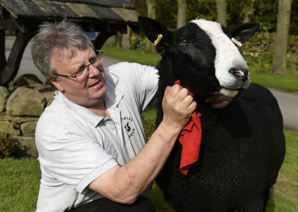 Martin Preston with his prize Zwartbles tup at Lady Close, Bingley.  Picture Bruce Rollinson
