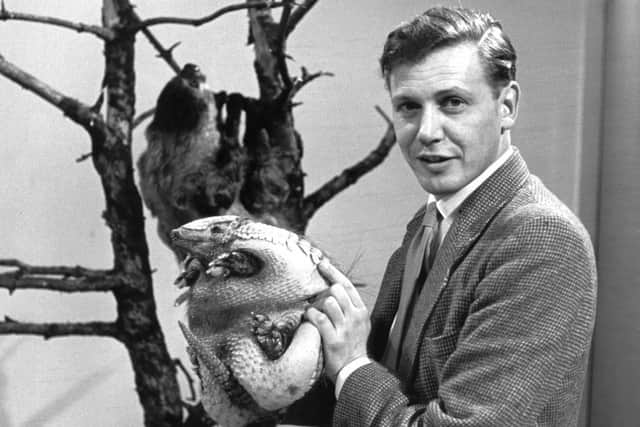 Sir David Attenborough with an armadillo from 'Attenborough's Animals' in 1963.