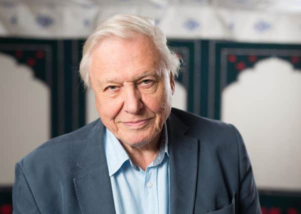 Sir David Attenborough: "The truthful answer is that I feel unbelievably lucky." David Parry/PA Wire