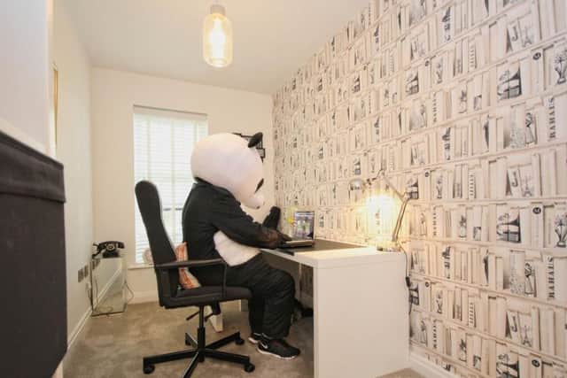 A panda's work is never done