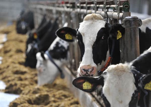 Government is planning talks with the European Investment Bank to find ways of funding increased milk powder processing, Farming Minister George Eustice said.