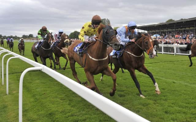 The  William Hill Silver Trophy Handicap during the William Hill Great St.Wilfrid Handicap Day at Ripon Racecourse, Ripon Photo: John Giles/PA Wire.