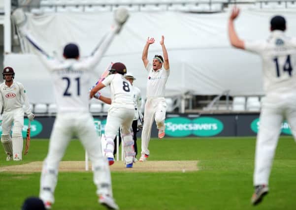 SCENTING VICTORY: 
Yorkshire's Jack Brooks celebrates taking the wicket of Surrey's James Burke.
 Picture: Jonathan Gawthorpe.