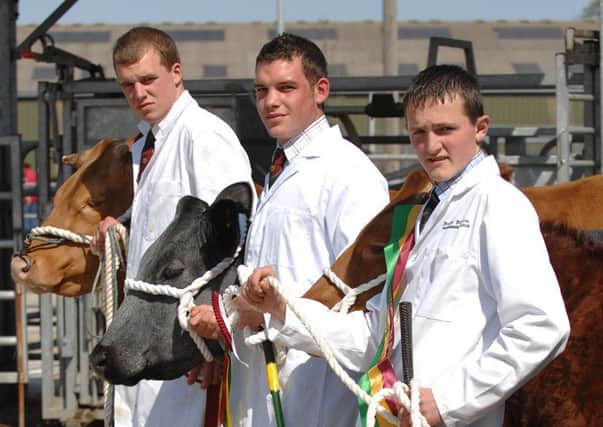 All the students hard work culminates today in the 55th annual stockmanship competition.   Picture: Darren Casey