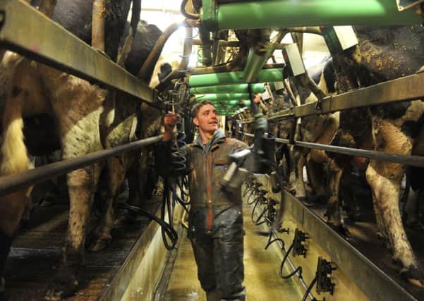 Labels which guarantee shoppers that the milk contained in processed dairy products is British would be a major step forward for the public's ability to show their support for Britain's crisis hit dairy industry.  Picture: Tony Johnson.