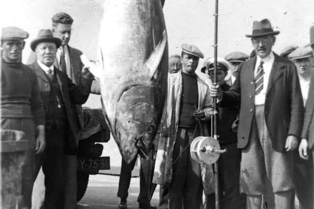 Scarborough tunny fish caught in August 1930  Peter Tuffrey collection