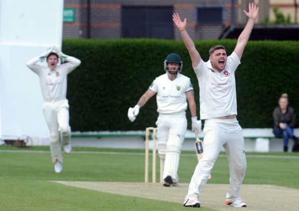 New Farnley batsman Mark Lawson survives a large LBW appeal from Curtis Free of Cleckheaton. Picture: Steve Riding.