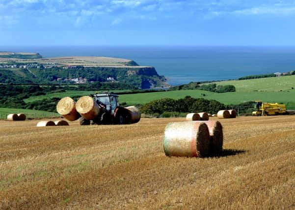 The Common Agricultural Policy needs to be reformed to primarily support the provision of public goods, the House of Lords' EU Energy and Environment Sub-Committee said in its newly published report.