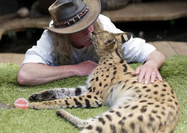 Iain Newby with his serval cat Squeaks, at his home in Great Wakering, Essex, as lions, wolves and deadly venomous snakes are among thousands of dangerous animals being kept on private properties across the UK, figures have revealed.