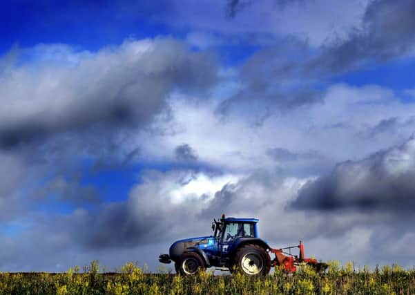 Farming and food prices have emerged as key referendum issues.