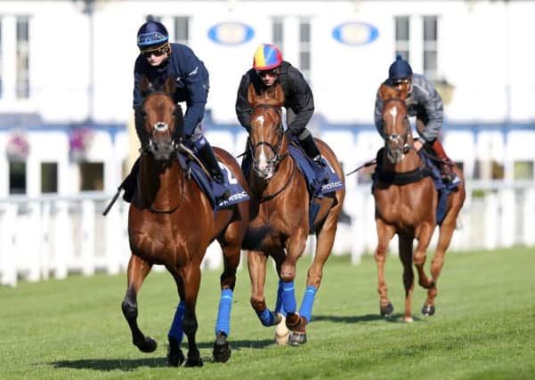 Wings of Desire ridden by Frankie Dettori (centre) during the Investec Derby Breakfast with the Stars, at Epsom Downs earlier this week. Picture: Adam Davy/PA.