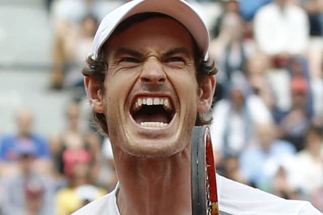 ANDY MURRAY: Cruised to a comfortable victory over Ivo Karlovic in the French Open.