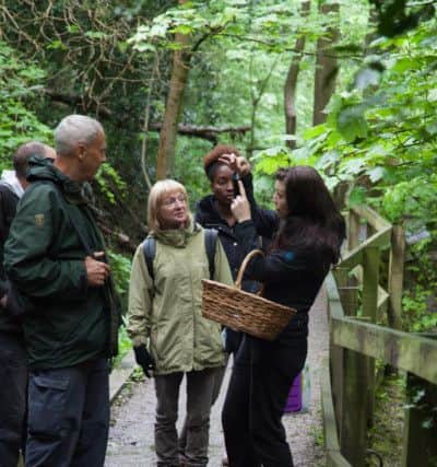 Lisa Cutliffe introducing others to the art of foraging. Picture: Joan Ransely
