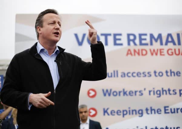 David Cameron at a Remain campaign rally.