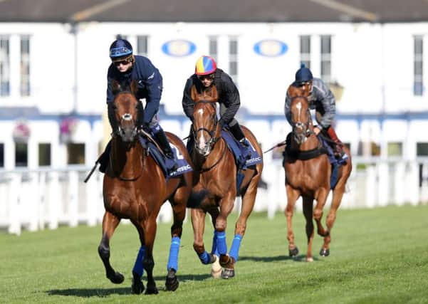 Wings of Desire ridden by Frankie Dettori (centre) during the Investec Derby Breakfast with the Stars, at Epsom Downs.