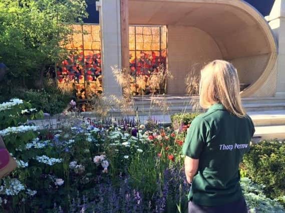 Curator Faith Douglas surveys the finished Yorkshire garden at RHS Chelsea Flower Show. (Photo by Faith Douglas)