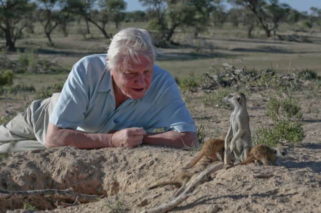 Sir David Attenborough. Picture: Sophie Lanfear