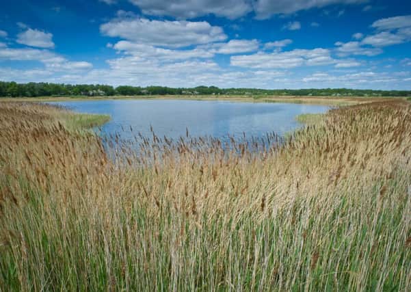 Potteric Carr Nature Reserve near Doncaster, one of the 97 nature reserves looked after by Yorkshire Wildlife Trust and its hundreds of volunteers.  Pic: Matthew Roberts.
