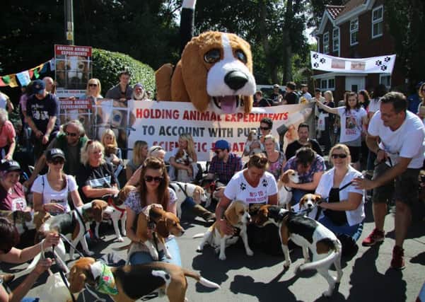 A demo last year against the resumption of beagle breeding at B&K