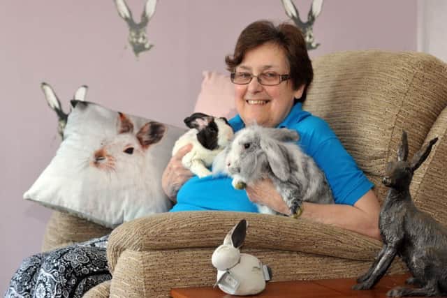 Gwen Butler of Bunny Burrows, Richmond , with her house rabbit  Hans (left) and Noveau a one year old.