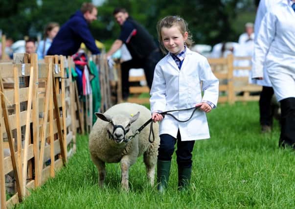 Four-year-old Jovi Wood shows her pet lamb at the North Yorkshire County Show.  Pictures: Jonathan Gawthorpe