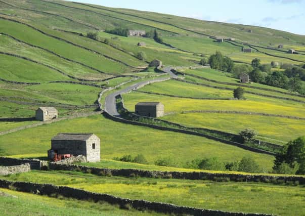 Barns and walls in upper Swaledale within the conservation area. Picture courtesy of Yorkshire Dales National Park Authority.