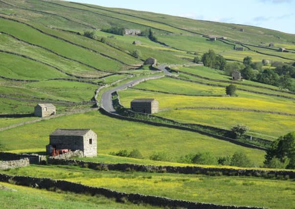 Pic: Yorkshire Dales National Park Authority.