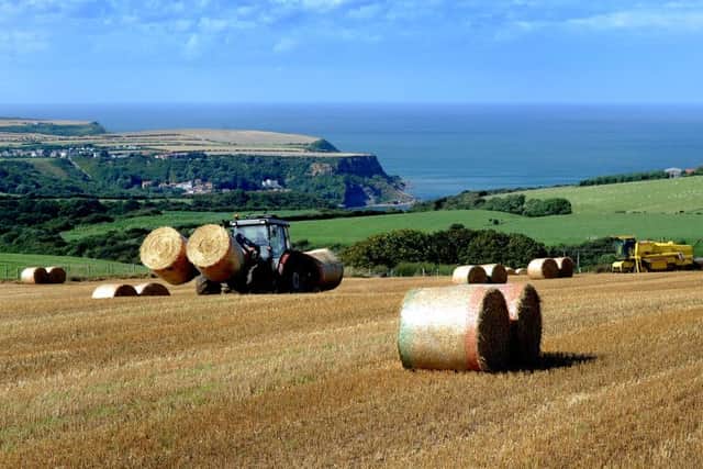 Nuffield scholarships are a chance to study agricultural practices beyond British shores.