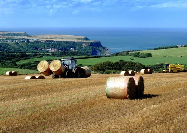 Nuffield scholarships are a chance to study agricultural practices beyond British shores.