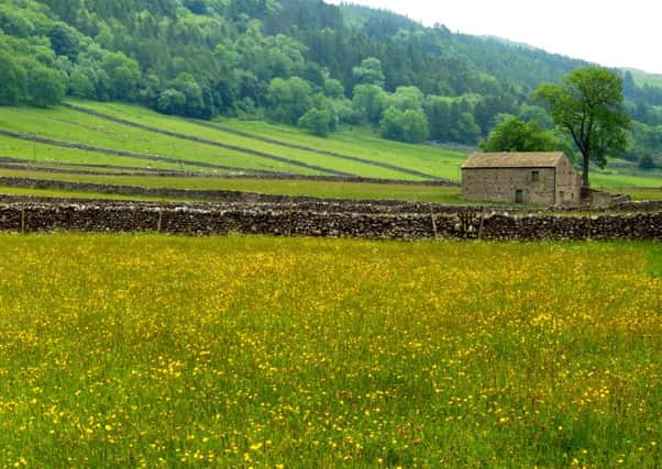 The Yorkshire Dales National Park will expand further into Cumbria and into Lancashire for the first time on Yorkshire Day.  Picture Tony Johnson.