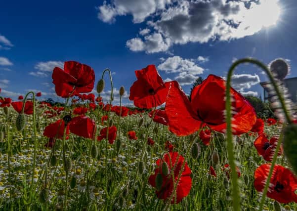 As Britain falls silent to remember the Battle of the Somme, we must recognise, says Dan Jarvis, that it is a measure of our common humanity that we must ensure it never happens again.